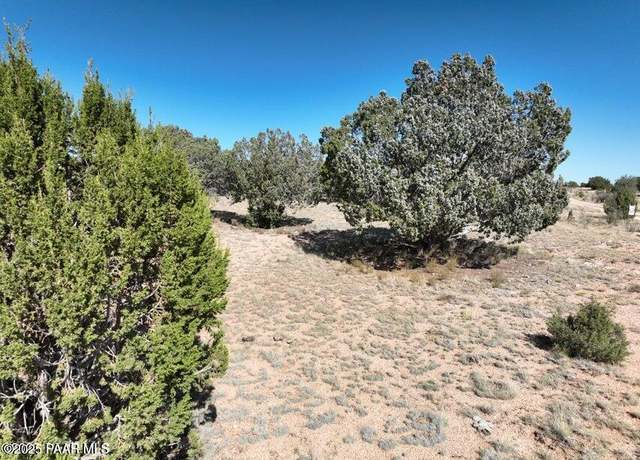 Property at 253 B/C Flaming Star, Seligman, AZ 86337