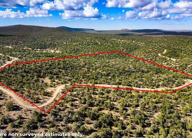 Property at 1399 N Thunder Ridge Ranch Rd, Seligman, AZ 86337
