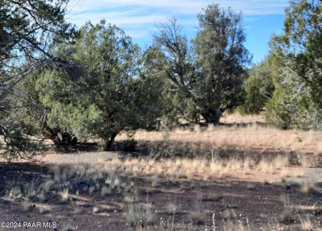 Property at 31616 W Calle Barril, Seligman, AZ 86337