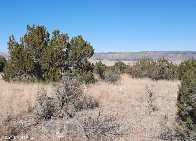 Property at 58573 N Calle Vaca, Seligman, AZ 86337