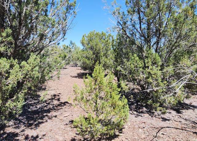 Property at 3085 N Randall Blvd, Williams, AZ 86046