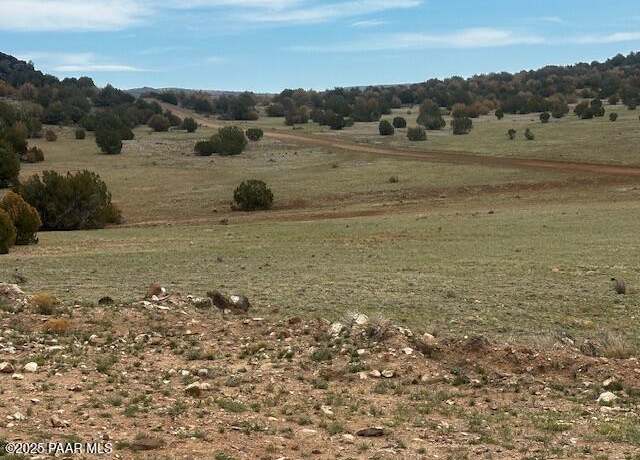 Property at Lot 1305 Badger Flats Rd, Seligman, AZ 86337