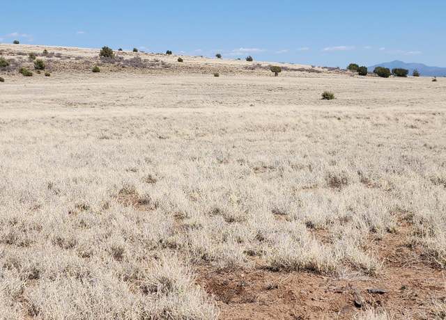 Property at Lot 66 Juniperwood Rnch, Ash Fork, AZ 86320