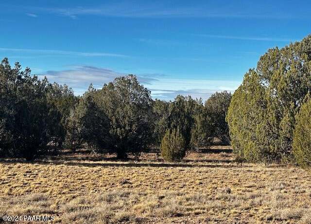 Property at 37916=A W Howling Coyote Rd, Seligman, AZ 86337