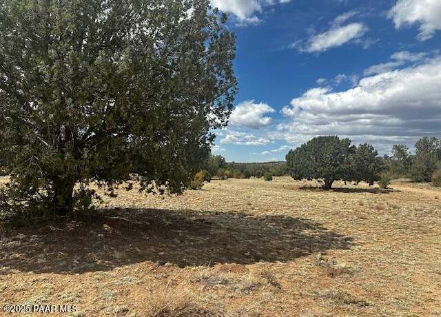 Property at 00 Antler Trl, Seligman, AZ 86337