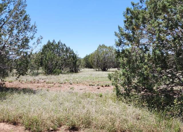 Property at 364 & 363 Big Vw, Ash Fork, AZ 86320