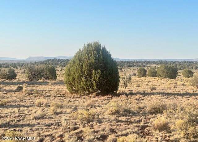 Property at 349ne Rocky Top Rd, Seligman, AZ 86337