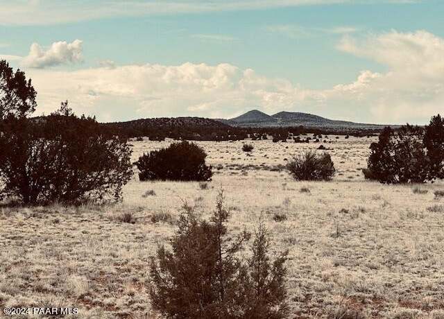Property at 424nw Deliverance Rd, Seligman, AZ 86337