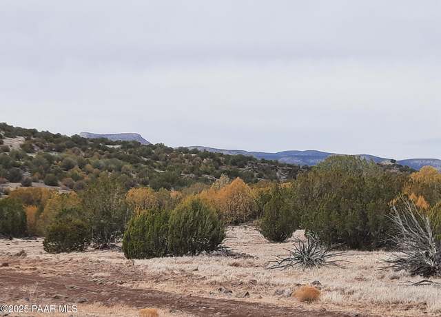 Property at Lot 1359 Off Last Chance Rd, Seligman, AZ 86337