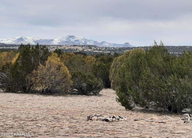 Property at Lot 1320 Skedaddle Trl, Seligman, AZ 86337
