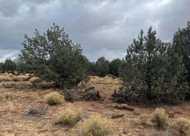 Property at 31646 W Calle Barril, Seligman, AZ 86337