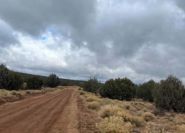Property at 54515 N Calle Contenta, Seligman, AZ 86337
