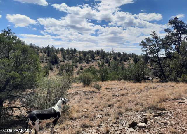 Property at 52852 N Calle Campo, Seligman, AZ 86337