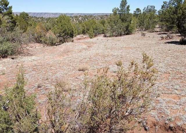 Property at 52481 Via De Oro Pkwy, Seligman, AZ 86337