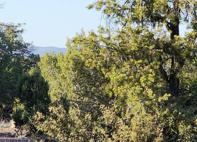 Property at 408 N2 Off Caprica Rd, Ash Fork, AZ 86320