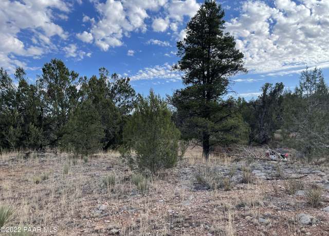 Property at 54663 N Forest Grove Way, Seligman, AZ 86337