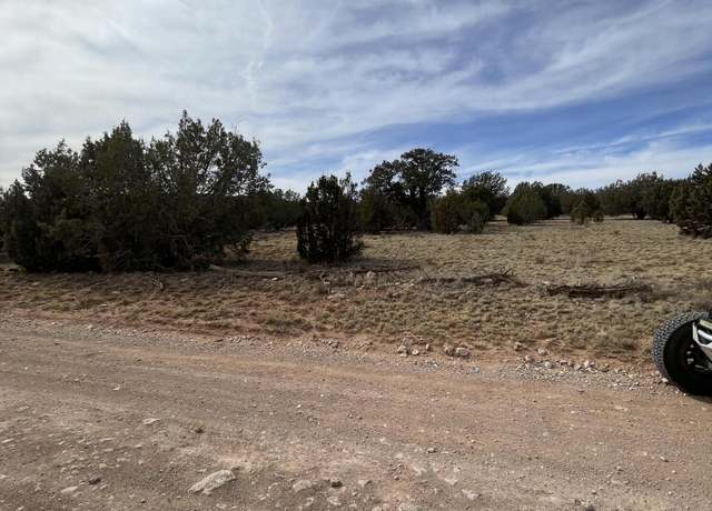 Property at 54372 N Via De Oro Pkwy, Seligman, AZ 86337