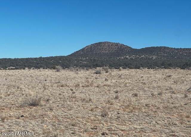 Property at 00 NW Double Back Dr, Seligman, AZ 86337