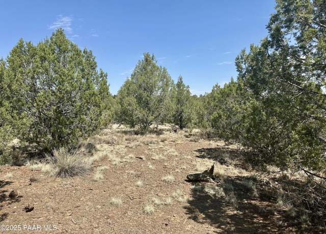 Property at 00 Denny 5 Ranch Rd, Seligman, AZ 86337