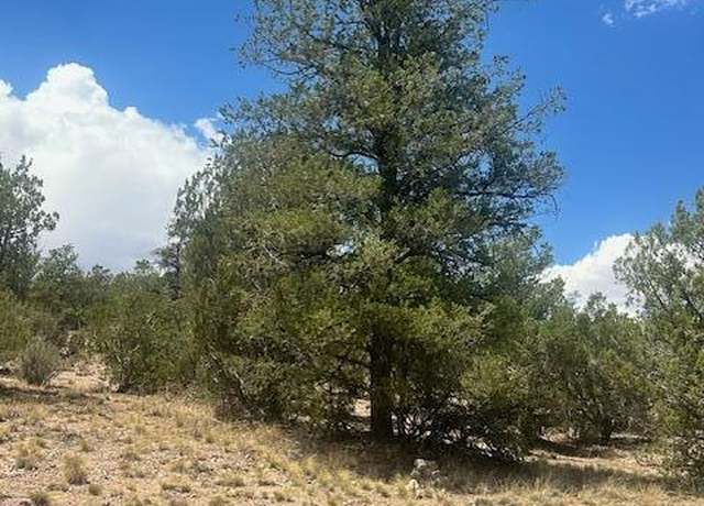 Property at 51739 N Cisne Cir, Seligman, AZ 86337