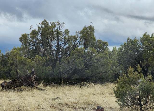 Property at 2339 N Phillip Ln, Williams, AZ 86046