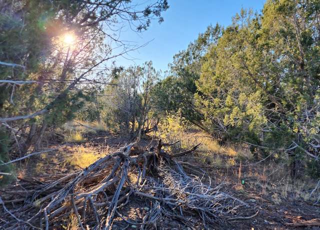 Property at 88-D Rose Ln, Ash Fork, AZ 86320