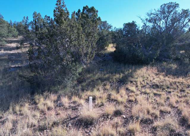 Property at 30863 W Basconia Rd, Seligman, AZ 86337