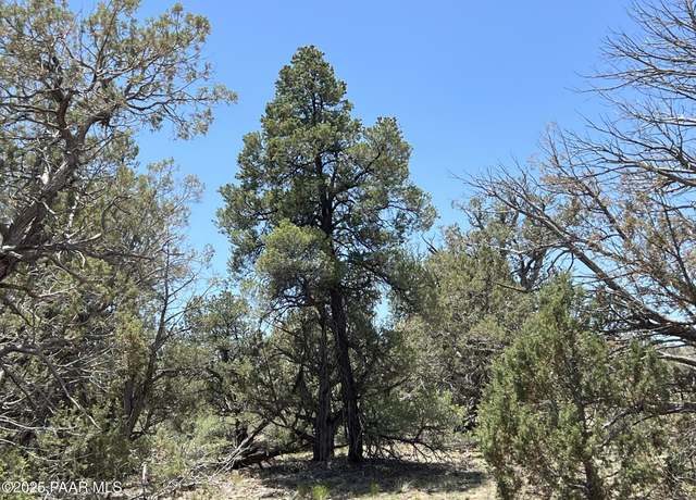 Property at 61 Colt Ct Se4 Rd, Ash Fork, AZ 86320