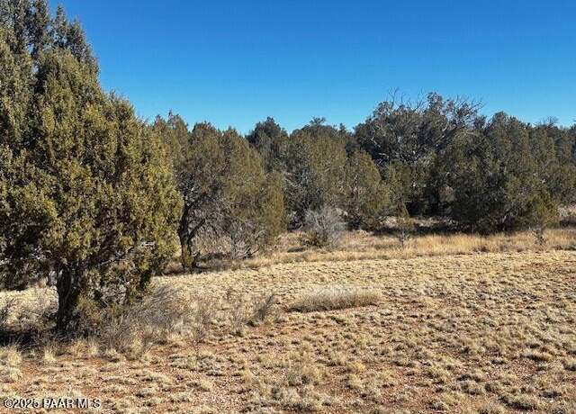 Property at 32372 Ancho Rd, Seligman, AZ 86337