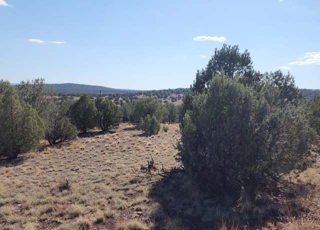 Property at 1436 Foothill Rd, Williams, AZ 86046
