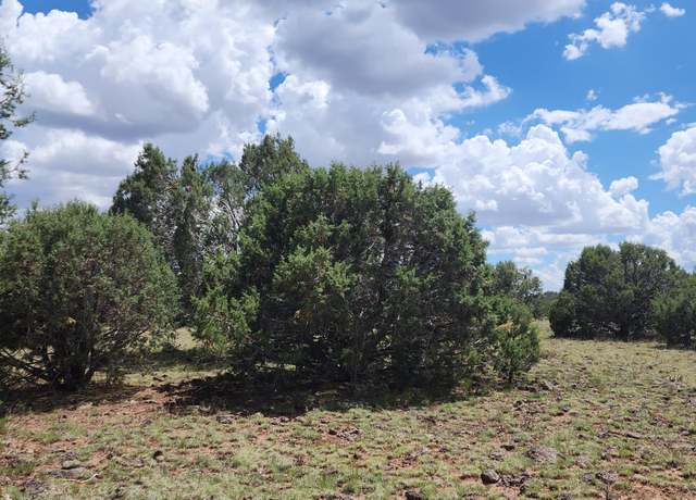 Property at 687-B Medicine Man Trl, Seligman, AZ 86337