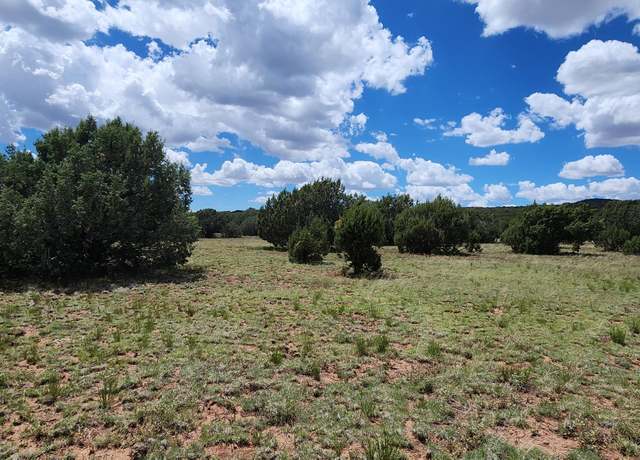 Property at 687-A Medicine Man Trl, Seligman, AZ 86337