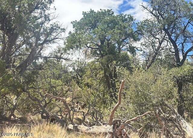 Property at 1020 Duffis Bluff Rd, Seligman, AZ 86337