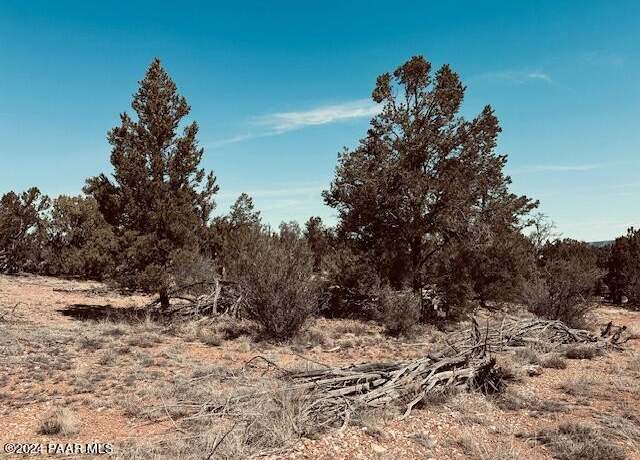 Property at 31254 Abeja, Seligman, AZ 86337