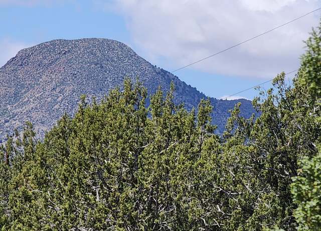 Property at 12b Juniperwood Rnch, Ash Fork, AZ 86320