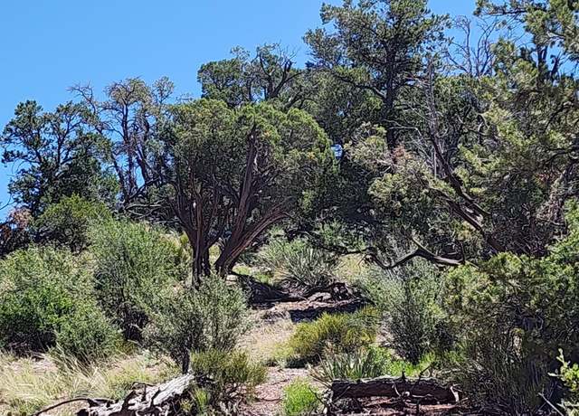 Property at Lot 363 Big View Trl, Ash Fork, AZ 86320
