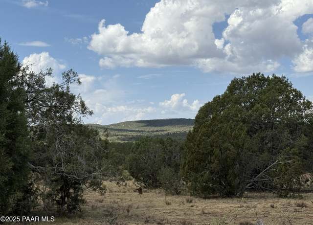 Property at Lot 1461 Hog Heaven, Seligman, AZ 86337