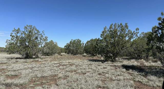 Photo of 2361 Picacho Dr, Williams, AZ 86046