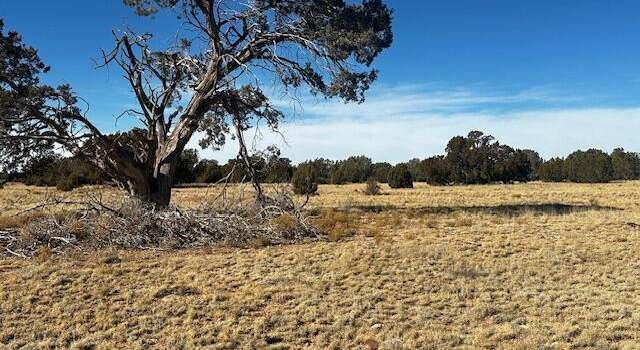 Photo of 234ne Brothers Rd, Seligman, AZ 86337