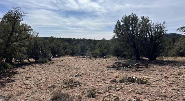 Photo of 251b Scorpion Rdg, Ash Fork, AZ 86320