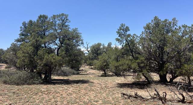 Photo of 249 W Kings Ranch Rd, Ash Fork, AZ 86320
