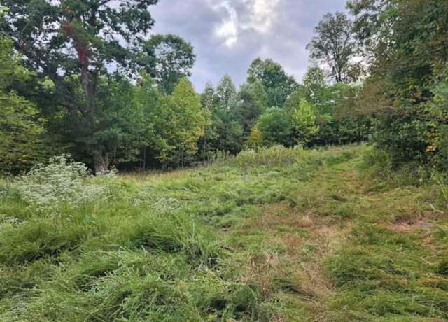 Property at 0 Mountain View Church Rd, Blue Ridge, VA 24064