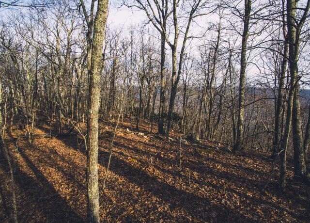 Property at 0 Wolfcreek Rd, Narrows, VA 24124