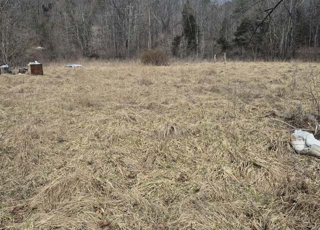 Property at 1075 Lithia Rd, Buchanan, VA 24066