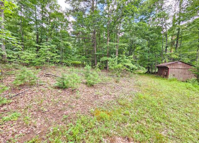 Property at 0 Hoot Owl Rd, New Castle, VA 24127
