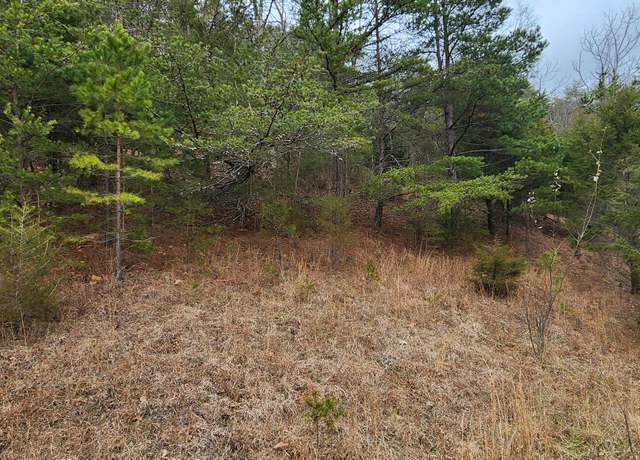 Property at Lot 33 Johns Creek Rd, New Castle, VA 24127