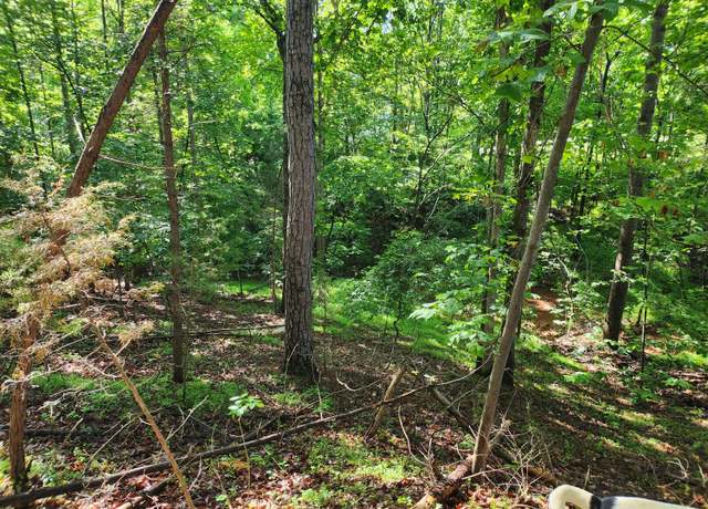 Property at Lot 31 Forest Shores Rd, Wirtz, VA 24184