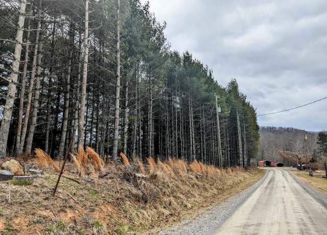 Property at 0 Irish Mountain Rd, Hiwassee, VA 24347