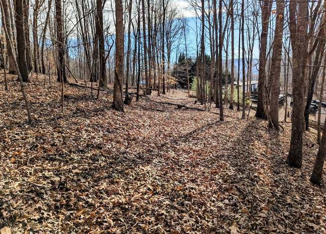 Property at 0 Irish Mountain Rd, Allisonia, VA 24347