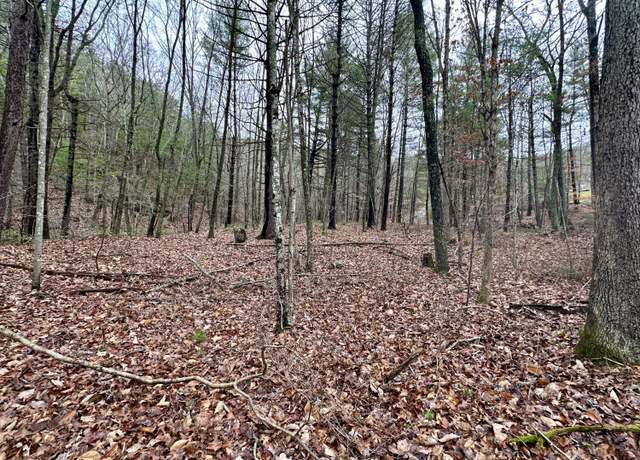 Property at TBD Pilot Rd, Pilot, VA 24138